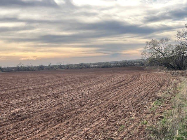 153.4 acres in Fisher County - photo 18