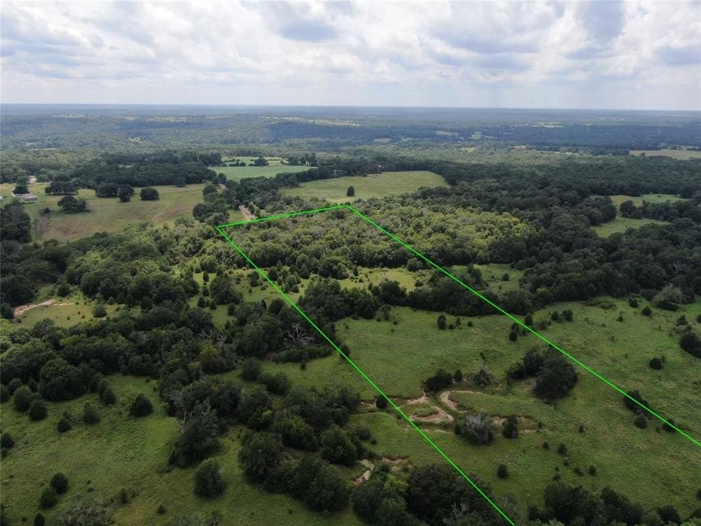 36 acres in Freestone County gallery image 3