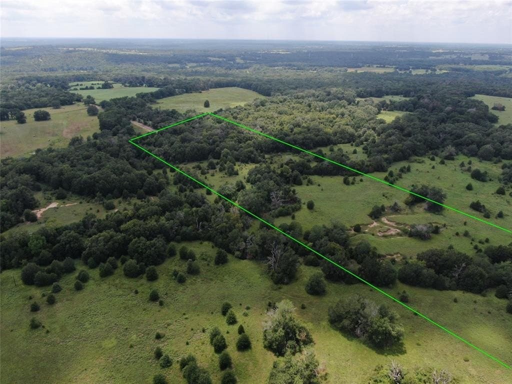 36 acres in Freestone County gallery image 2