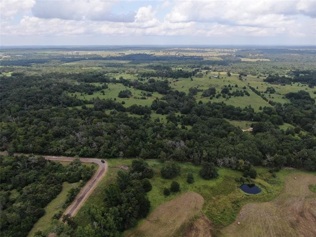 36 acres in Freestone County gallery image 4