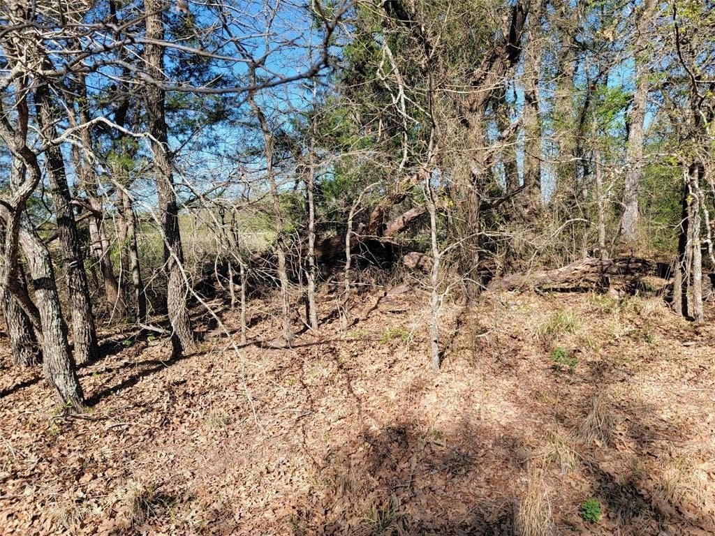 83.46 acres in Freestone County gallery image 4
