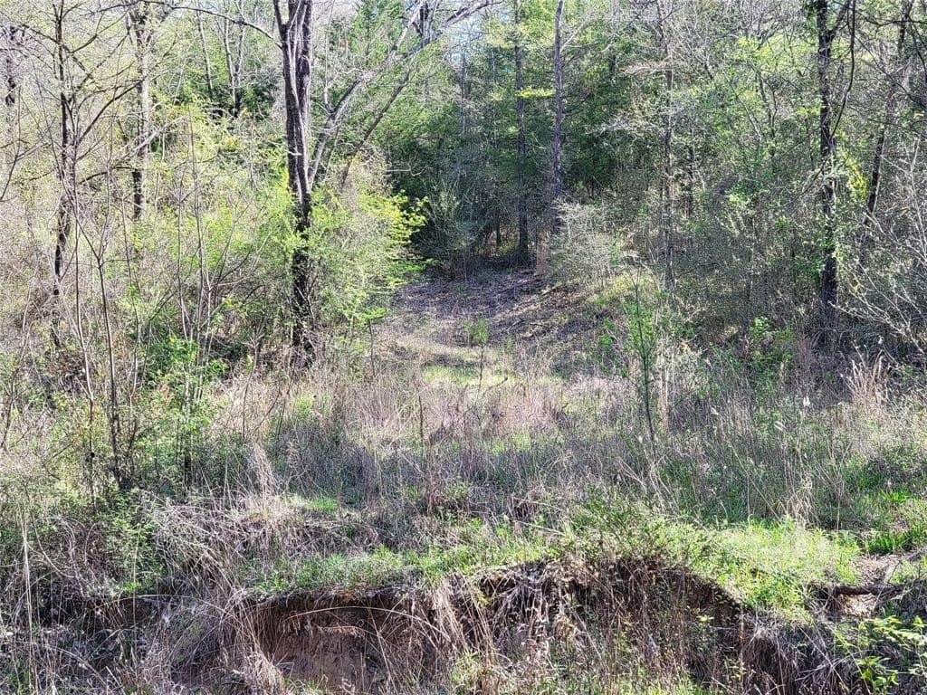 83.46 acres in Freestone County featured view