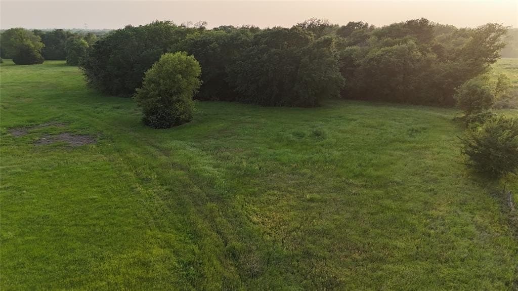 83.46 acres in Freestone County gallery image 2