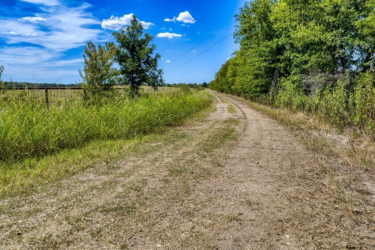 49 acres in Delta County - photo 15