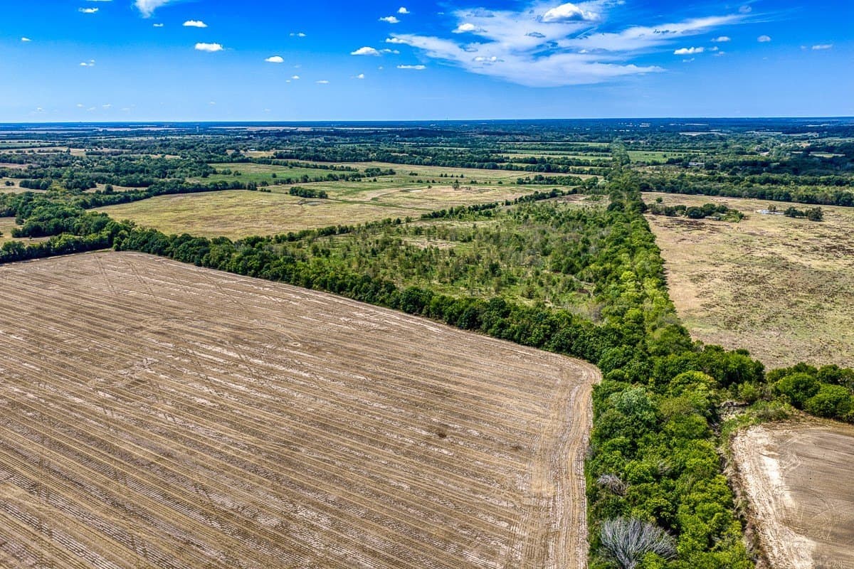 49 acres in Delta County - photo 6