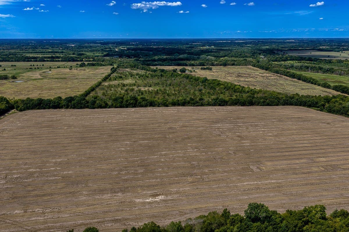 49 acres in Delta County - photo 5