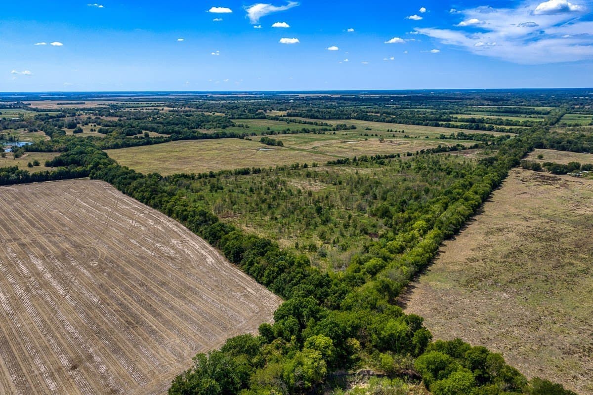 49 acres in Delta County - photo 7