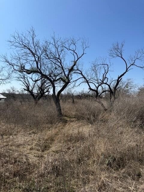 0.92 acres in Llano County - photo 5