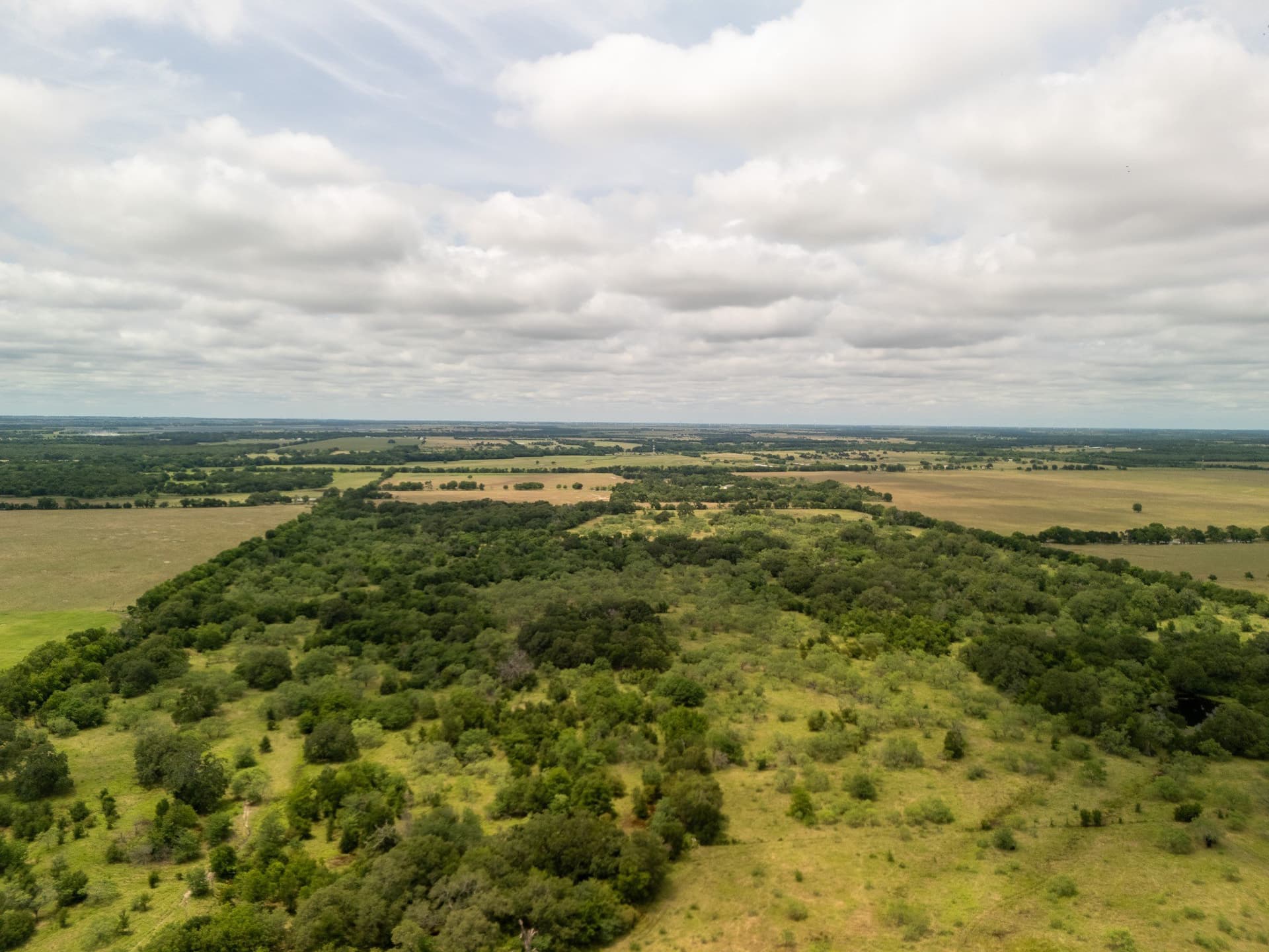 10.01 acres in Falls County - photo 27