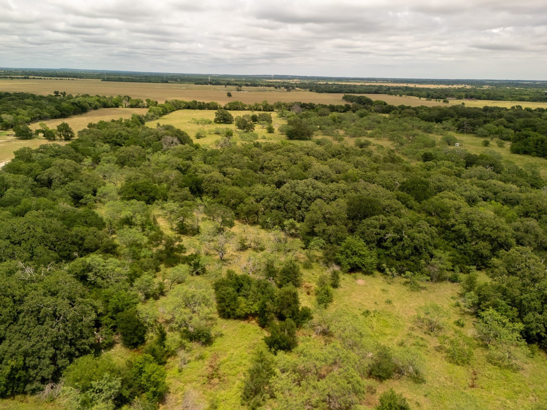 10.01 acres in Falls County - photo 15