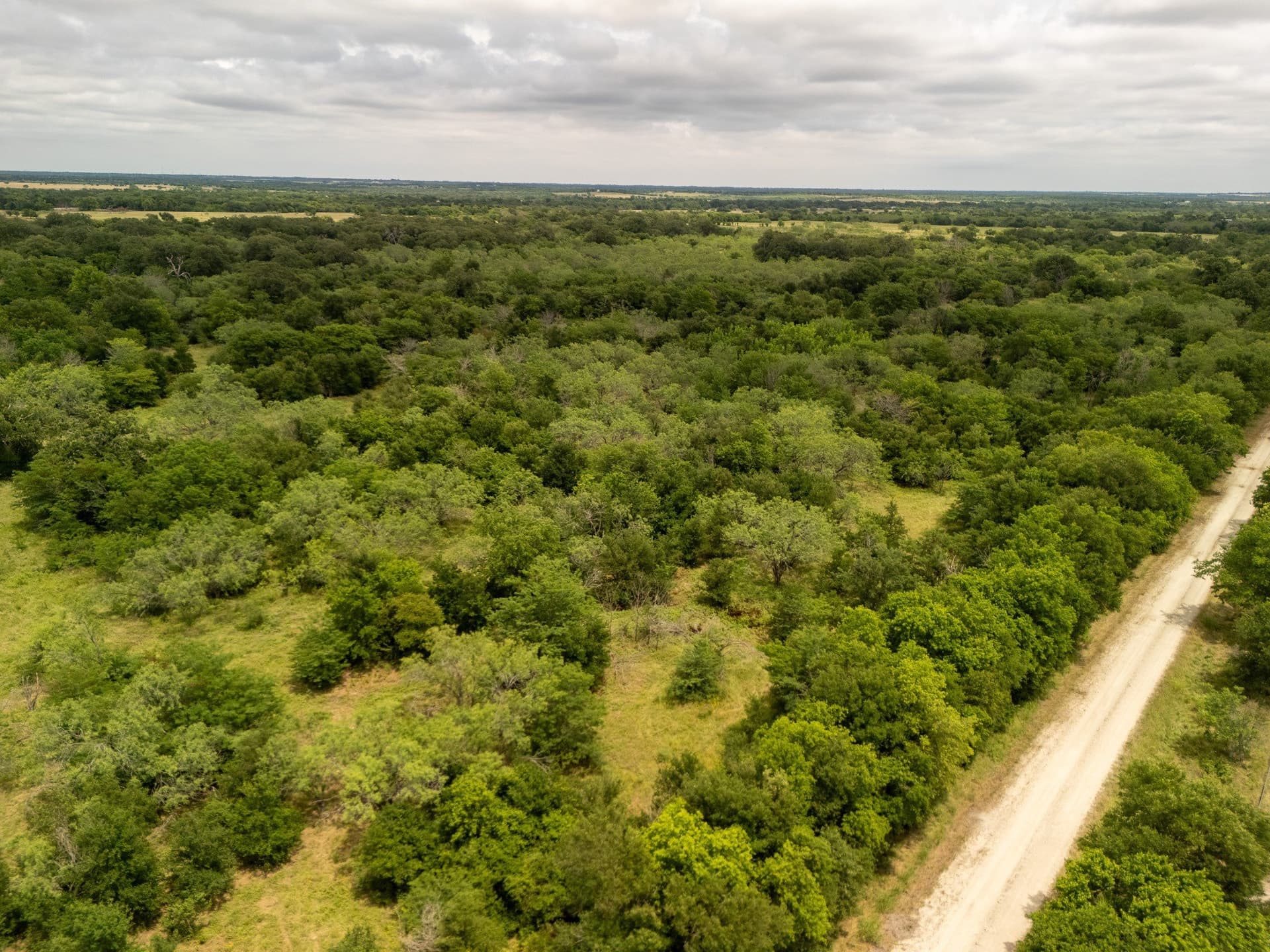 10.01 acres in Falls County - photo 14