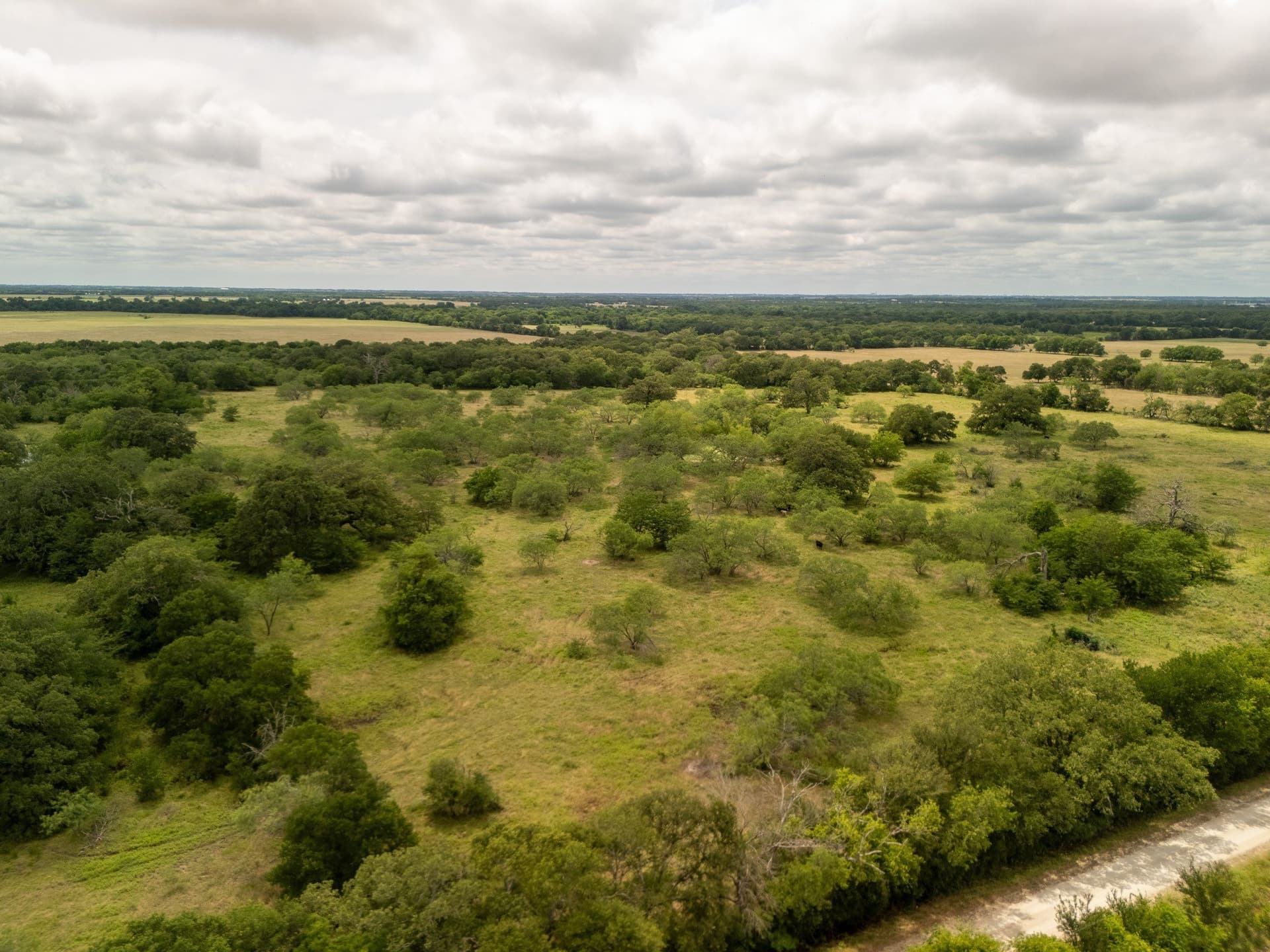 10.01 acres in Falls County - photo 9