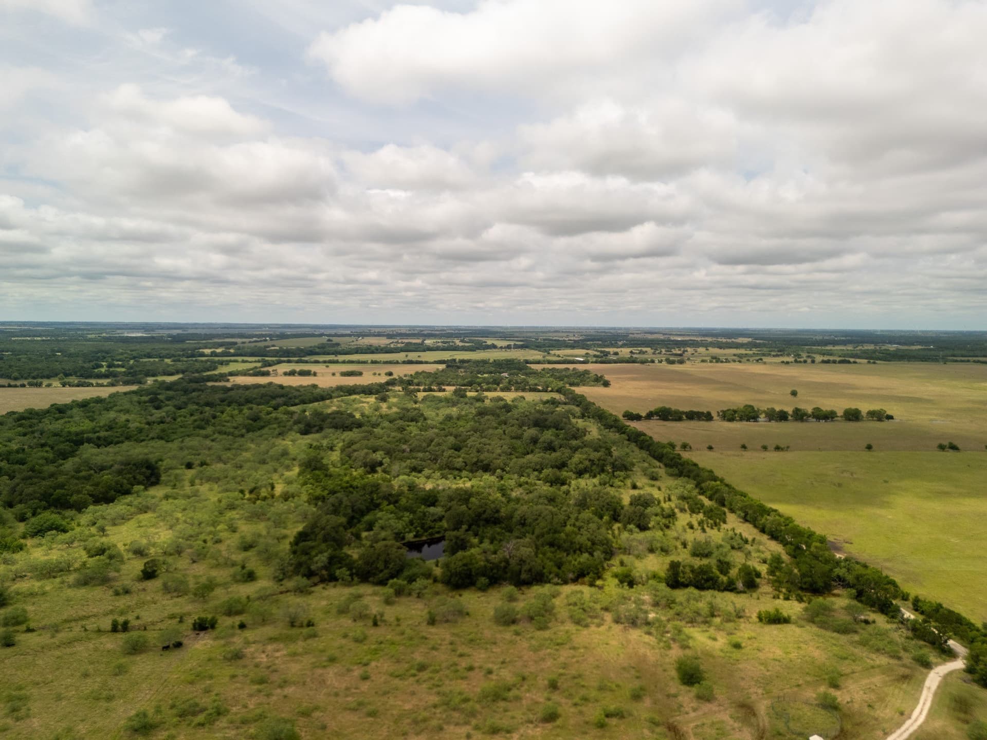 10.01 acres in Falls County - photo 26