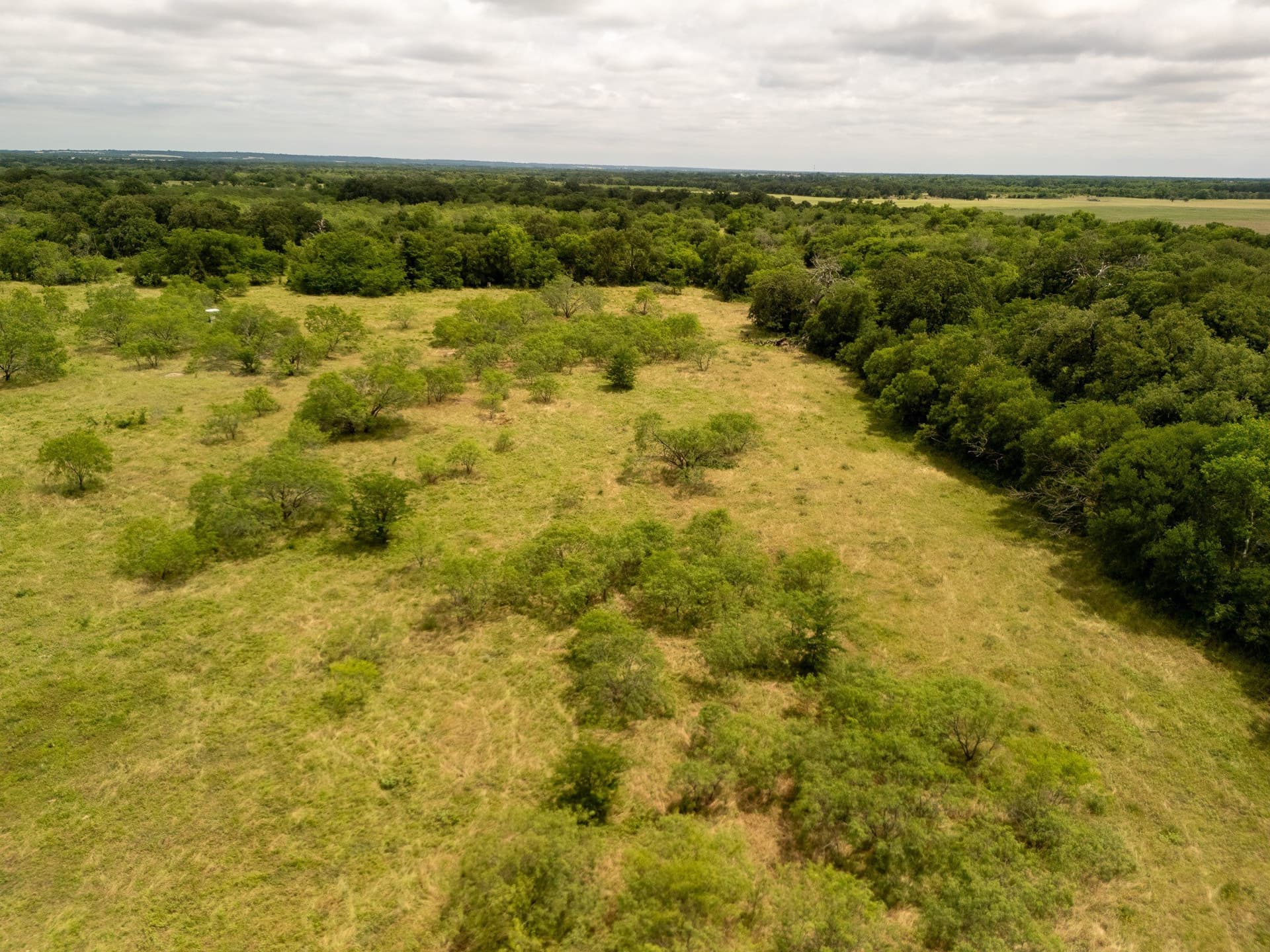 10.01 acres in Falls County - photo 6