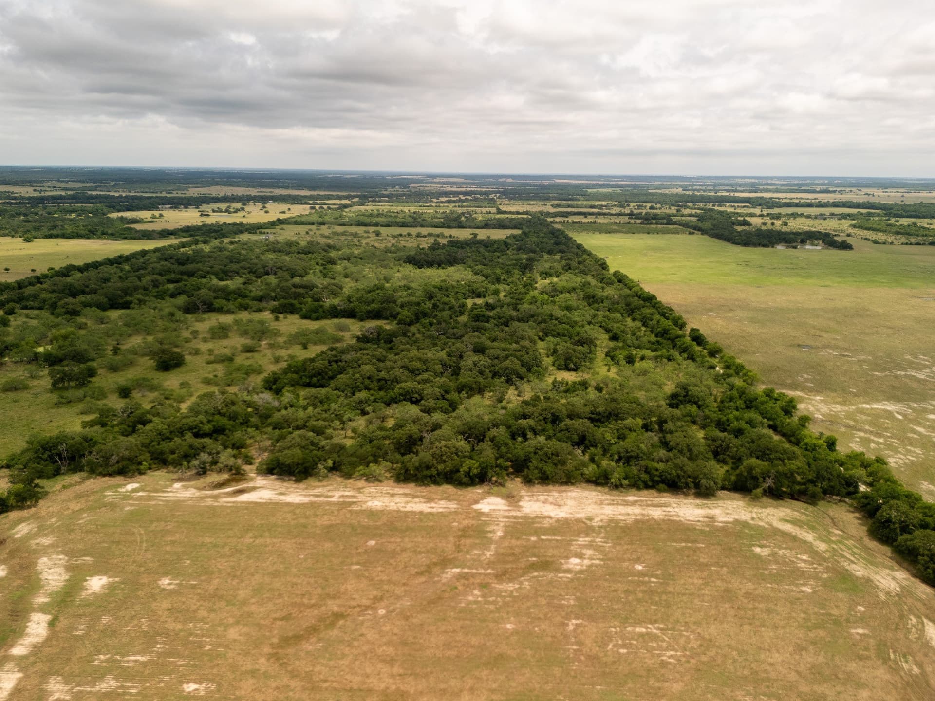 10.01 acres in Falls County - photo 18