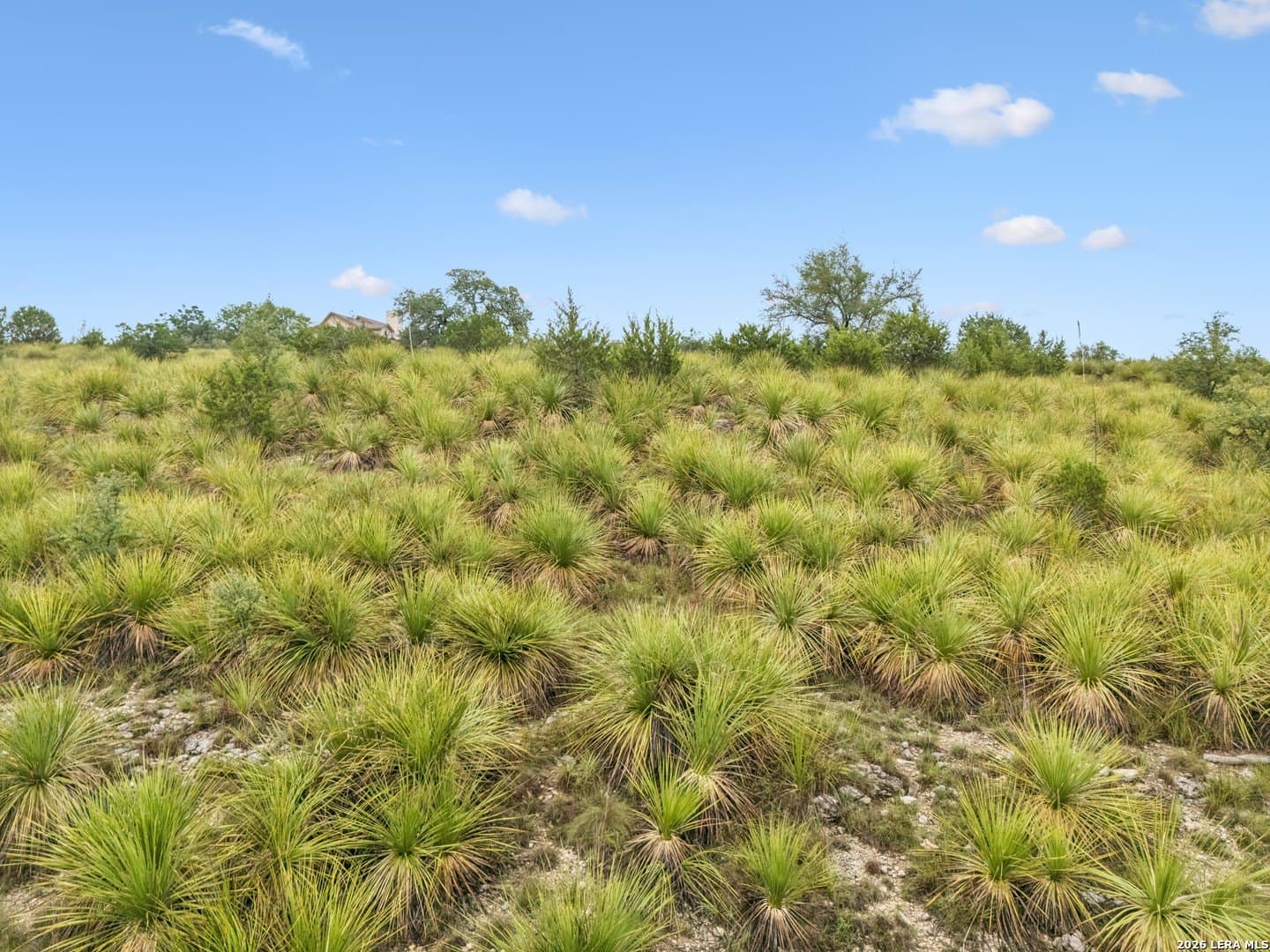 3.24 acres in Comal County - photo 28
