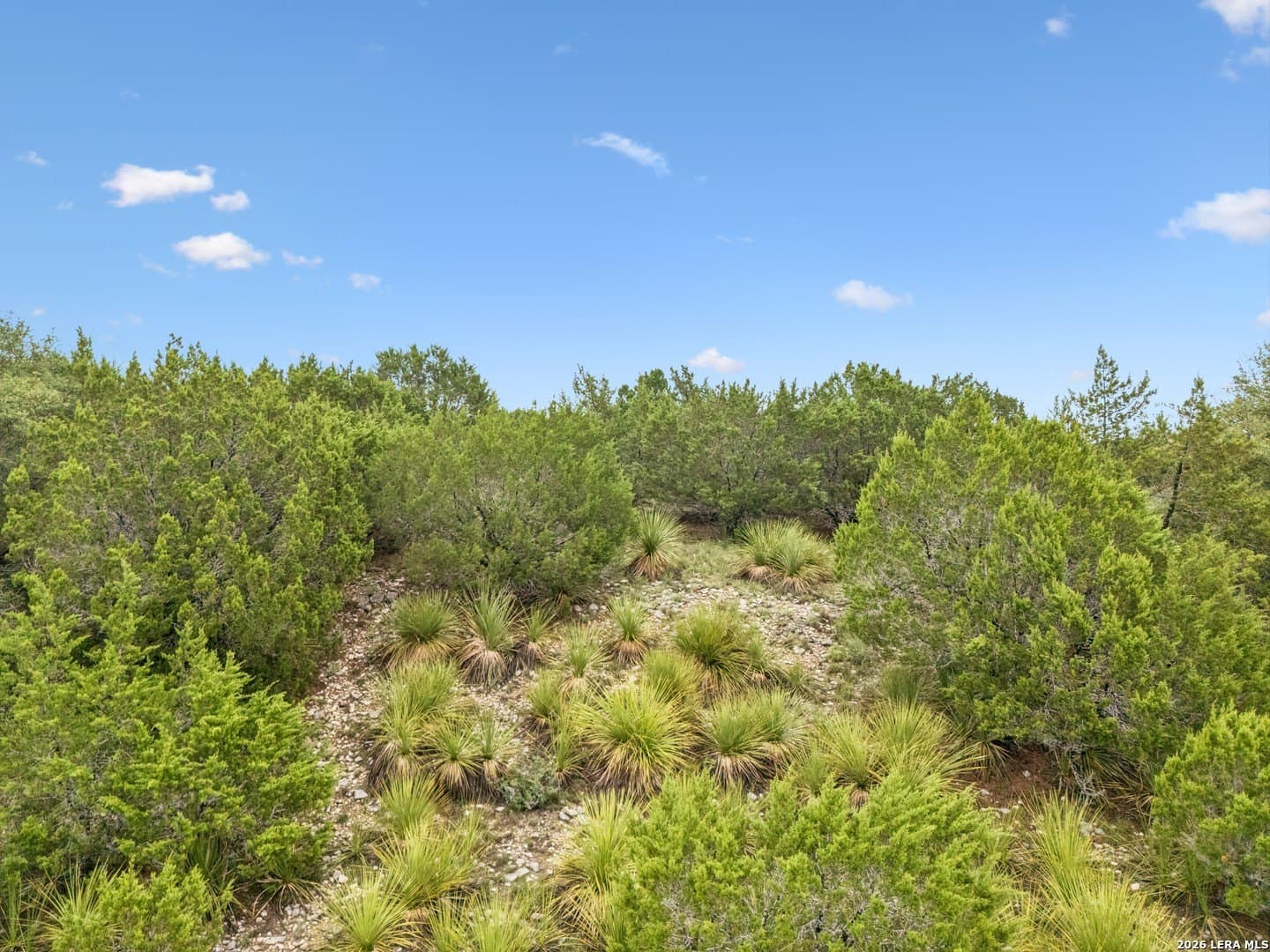 3.24 acres in Comal County - photo 25