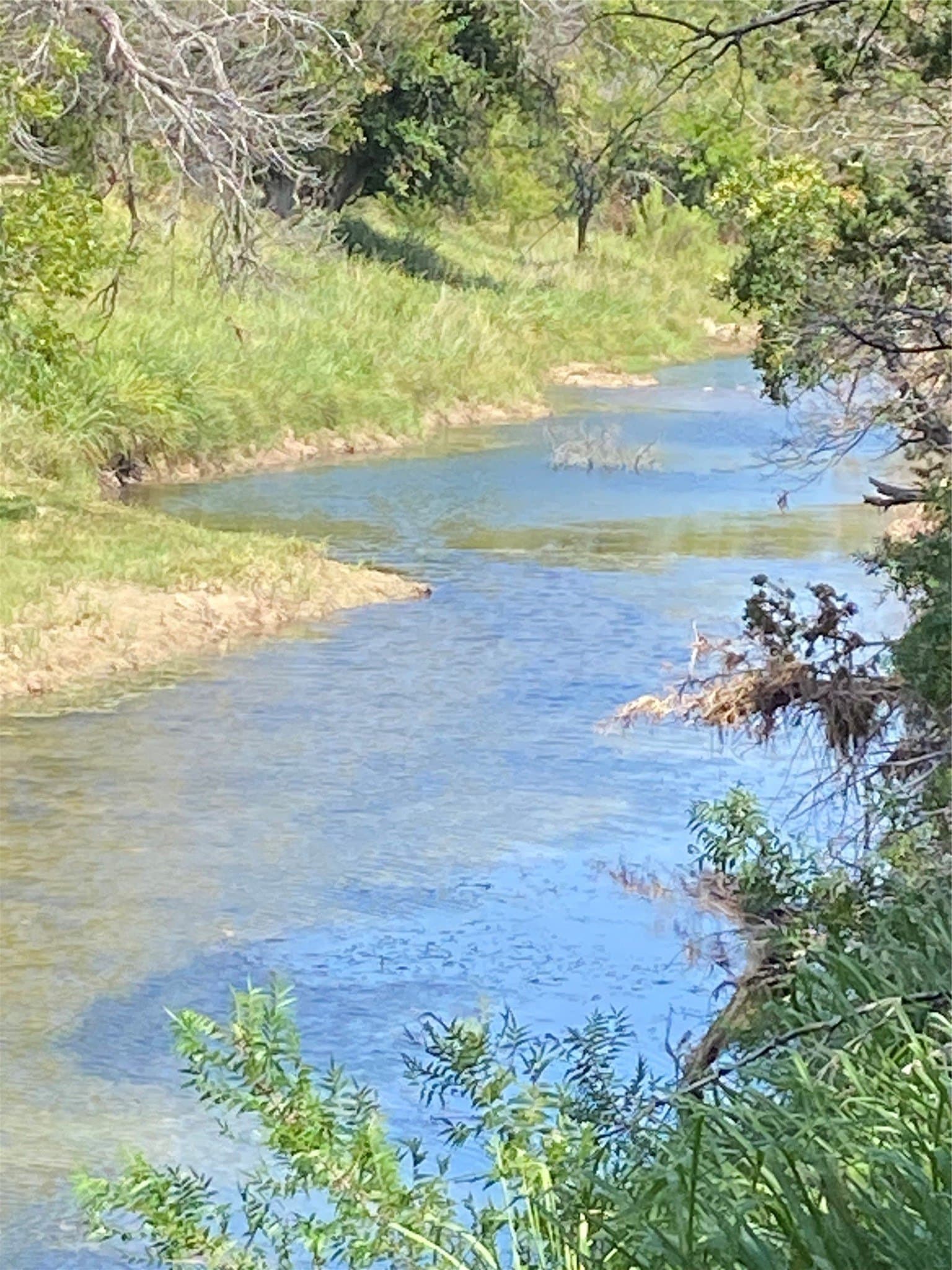 7.75 acres in Taylor County - photo 4