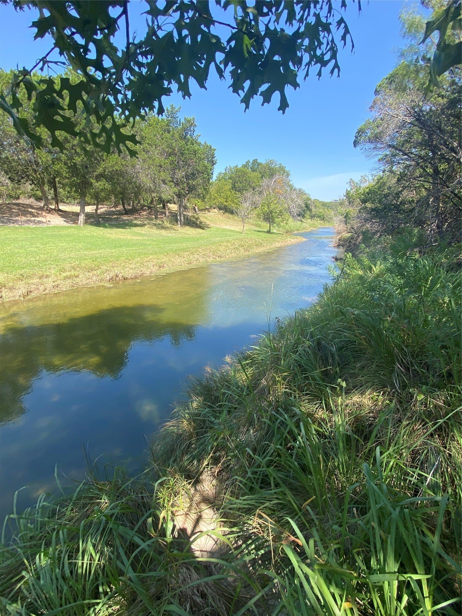 7.75 acres in Taylor County - photo 5