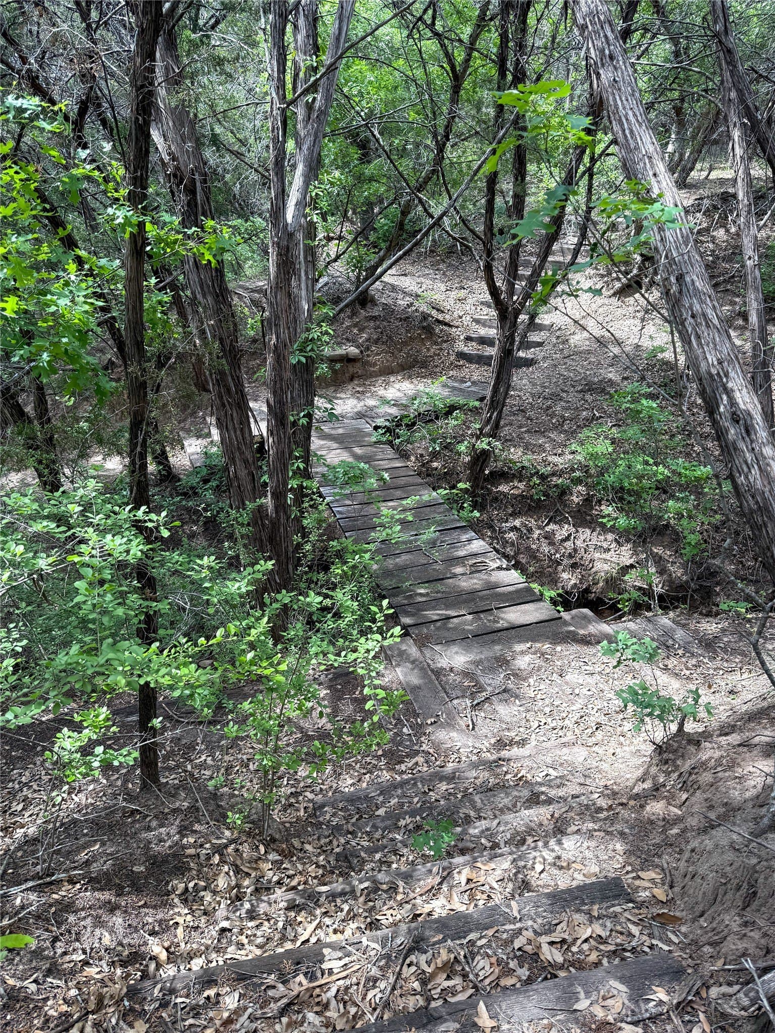 7.75 acres in Taylor County - photo 2