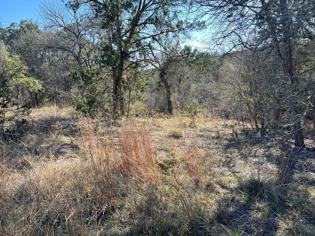 27.1 acres in Kerr County - photo 8
