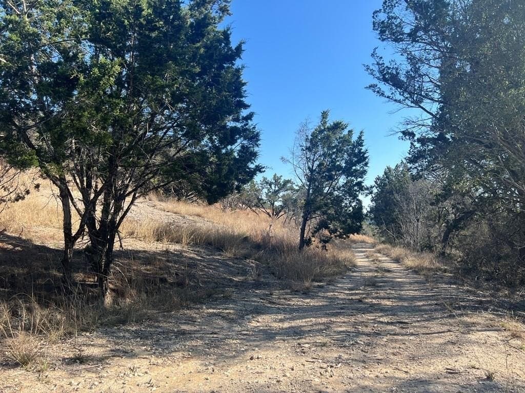 27.1 acres in Kerr County - photo 9