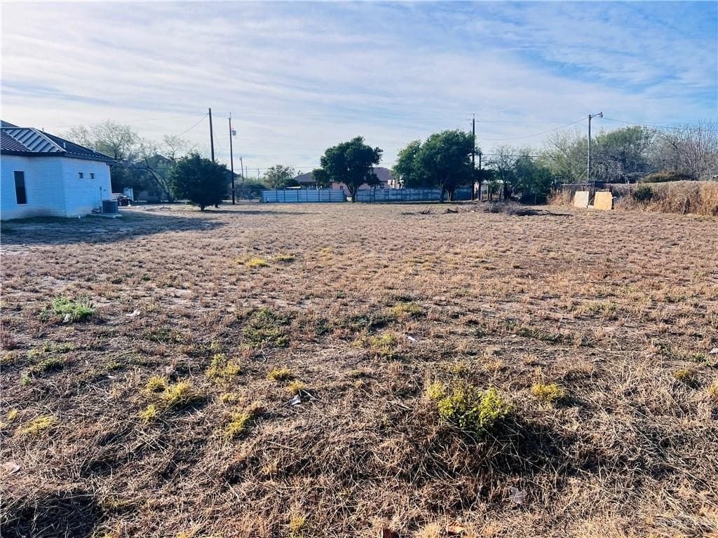 0.45 acres in Hidalgo County gallery image 2