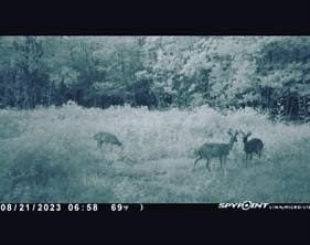 14.83 acres in Hardin County - photo 10