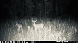 14.83 acres in Hardin County - photo 11