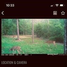 14.83 acres in Hardin County - photo 9