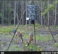 14.83 acres in Hardin County - photo 5