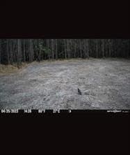 14.83 acres in Hardin County - photo 6
