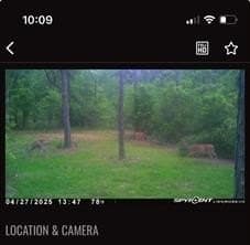 14.83 acres in Hardin County - photo 8