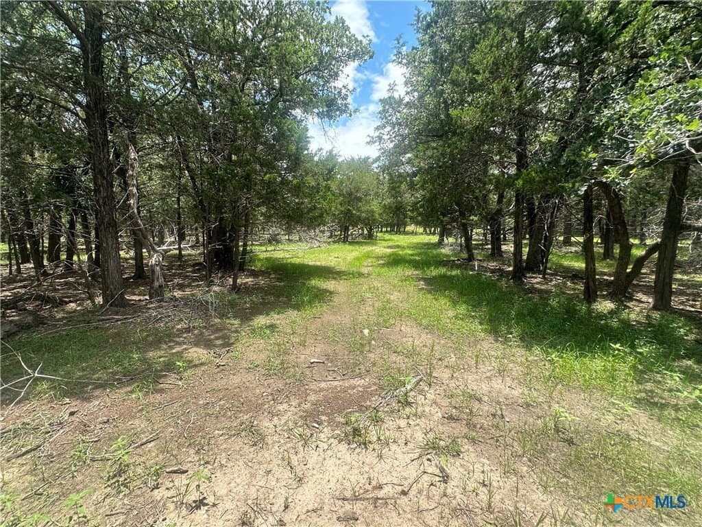 11.18 acres in Fayette County - photo 5