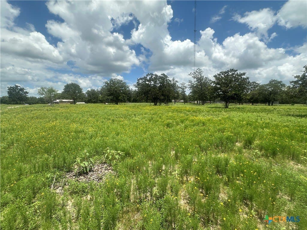 11.18 acres in Fayette County - photo 7