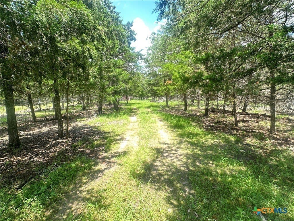 11.18 acres in Fayette County - photo 4