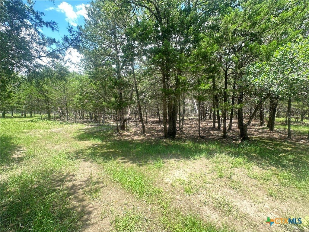 11.18 acres in Fayette County - photo 11