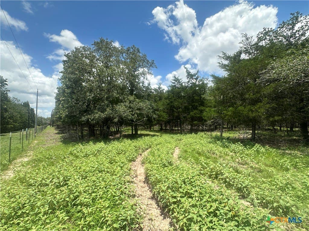 11.18 acres in Fayette County - photo 2