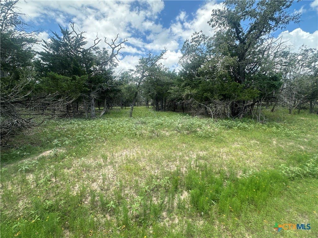 11.18 acres in Fayette County - photo 9
