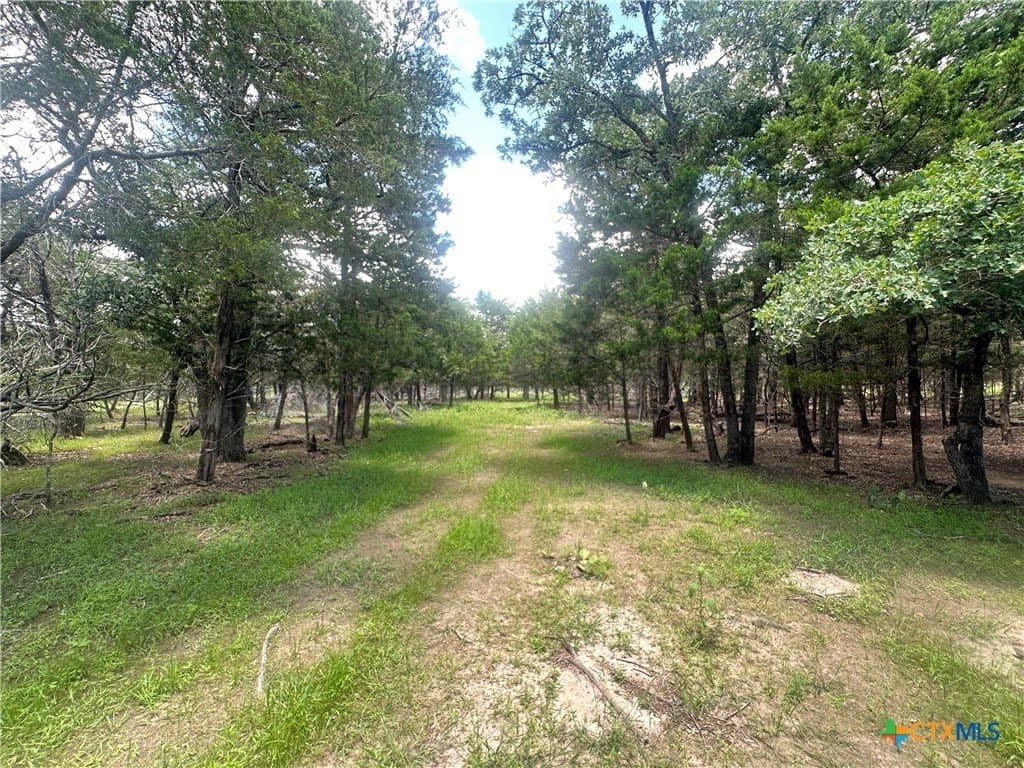 11.18 acres in Fayette County - photo 3