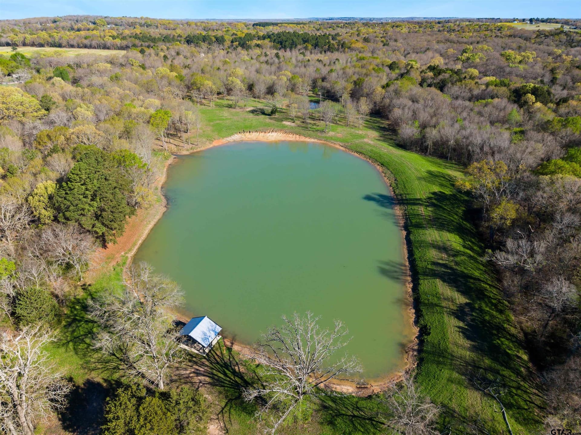 51.88 acres in Henderson County gallery image 2