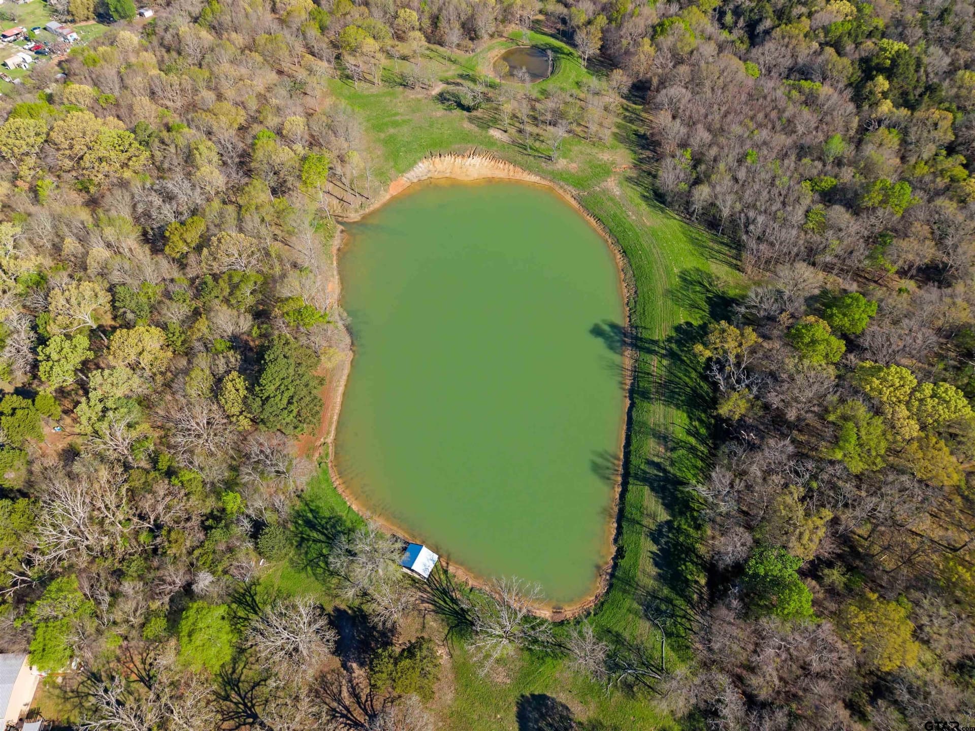 51.88 acres in Henderson County gallery image 3