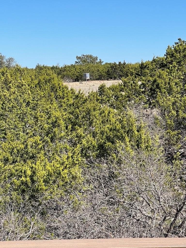 53.23 acres in Kerr County - photo 14