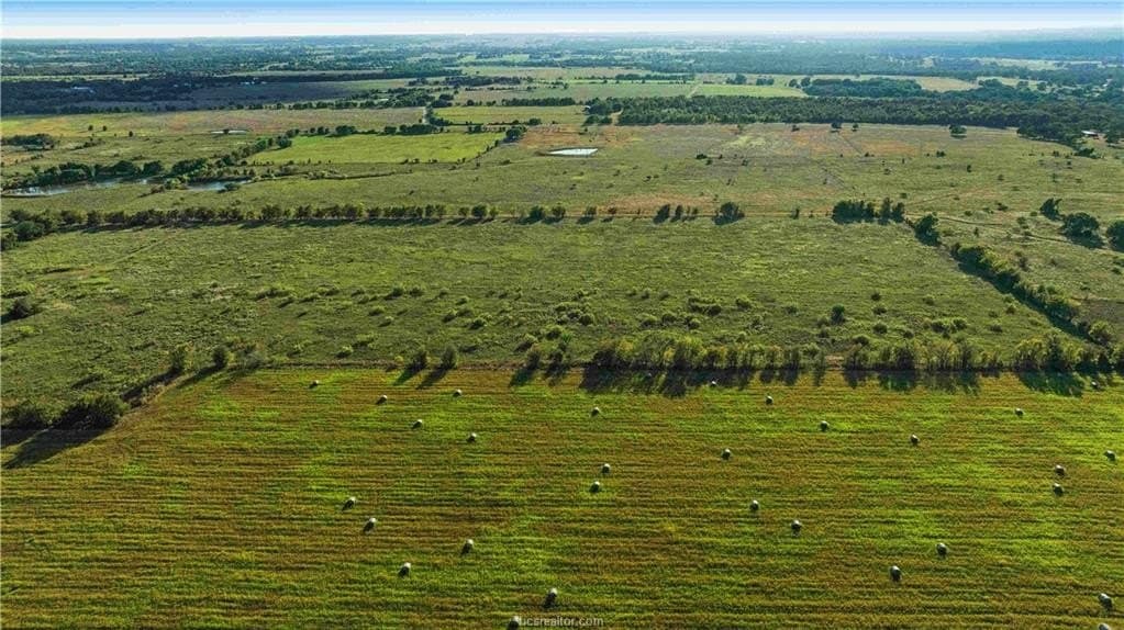 7.89 acres in Burleson County - photo 7