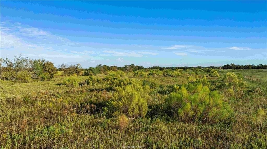 7.89 acres in Burleson County - photo 20