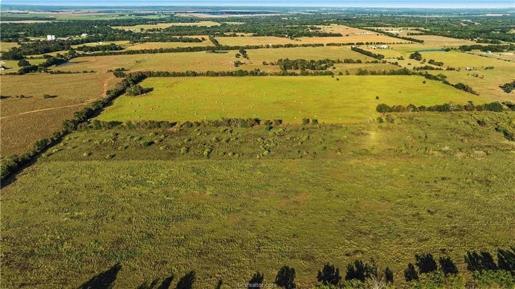 7.89 acres in Burleson County gallery image 4