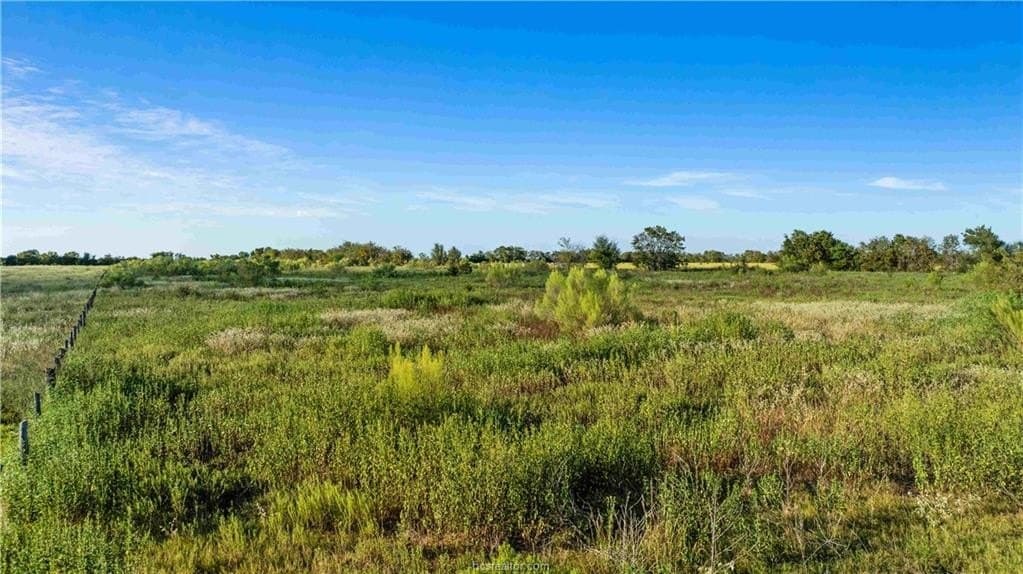 7.89 acres in Burleson County - photo 21