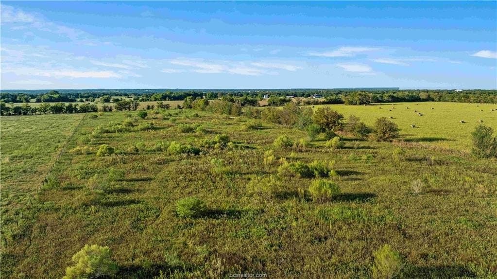 7.89 acres in Burleson County - photo 23