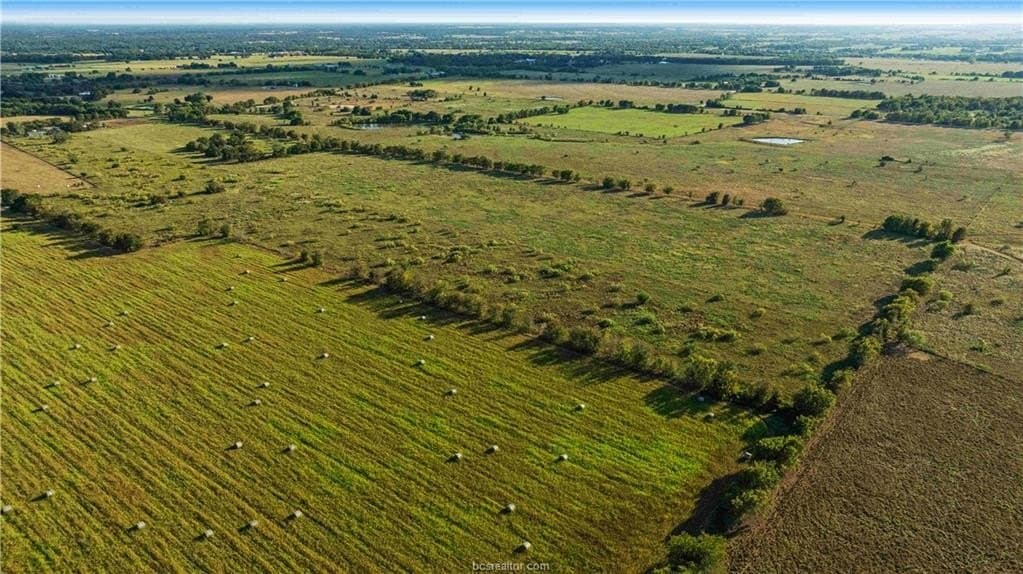 7.89 acres in Burleson County - photo 8