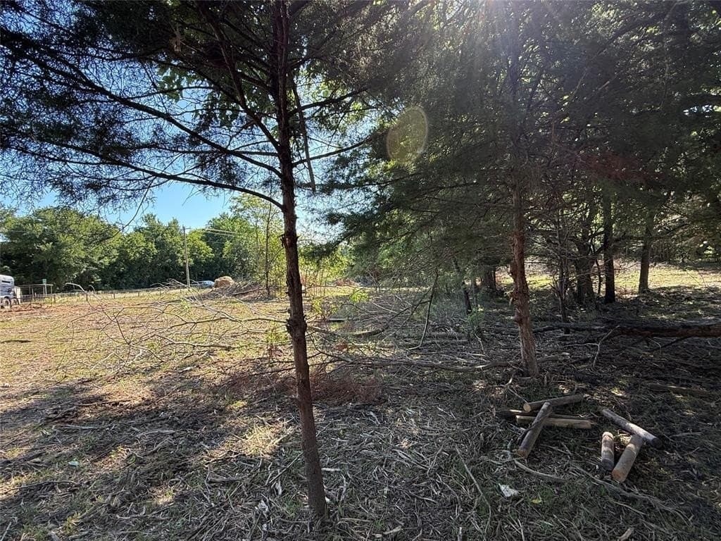 10 acres in Delta County gallery image 4